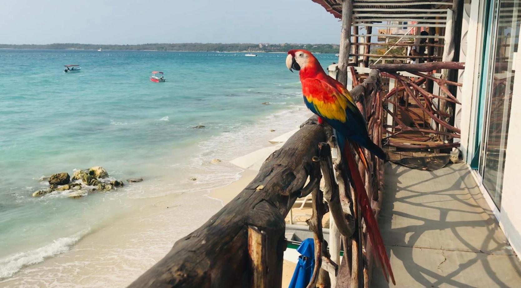 Hostal Lamar Baru Donde Gertrudis Playa Blanca Exterior foto